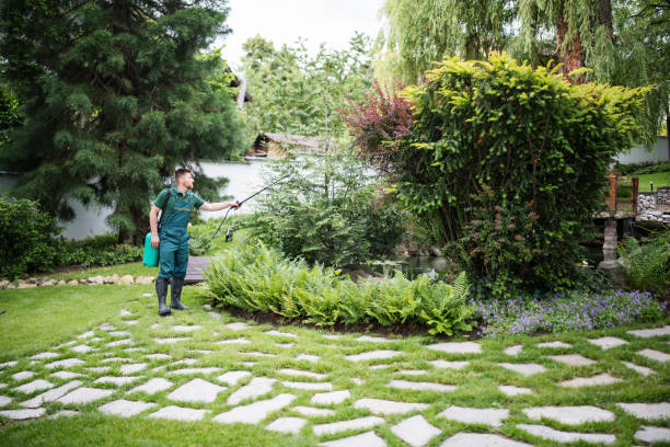 Flea Control Services in Briarcliff Manor, NY
