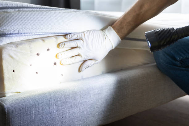 Best Best Pest Control Companies  in Briarcliff Manor, NY