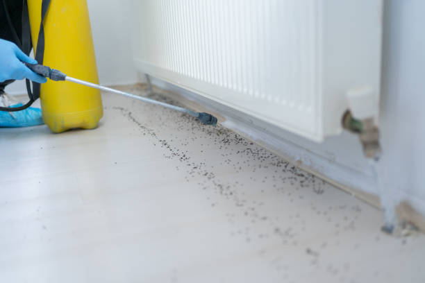Best Commercial Pest Control Services  in Briarcliff Manor, NY