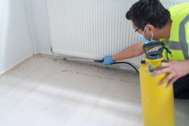 Professional Pest Control in Briarcliff Manor, NY