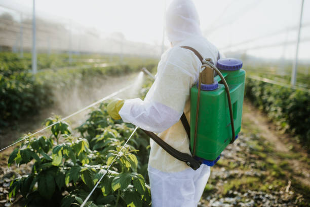 Best Emergency Pest Control  in Briarcliff Manor, NY